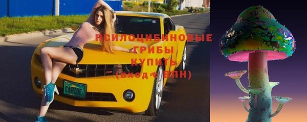 СК Корсаков