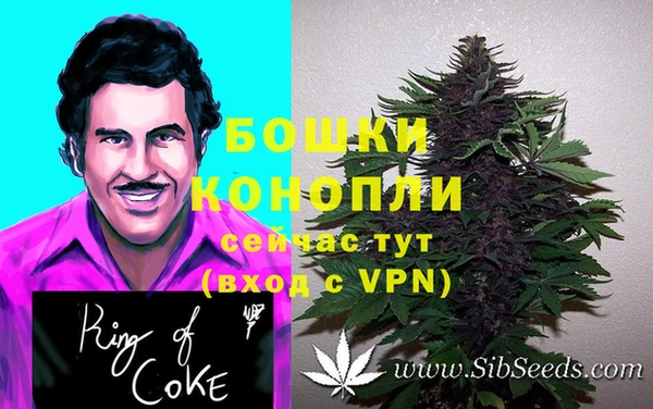 гидра Алексин