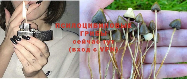 ешки Коряжма