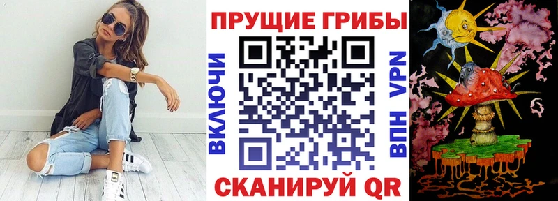 Псилоцибиновые грибы MAGIC MUSHROOMS  mega зеркало  Алапаевск  цена наркотик 